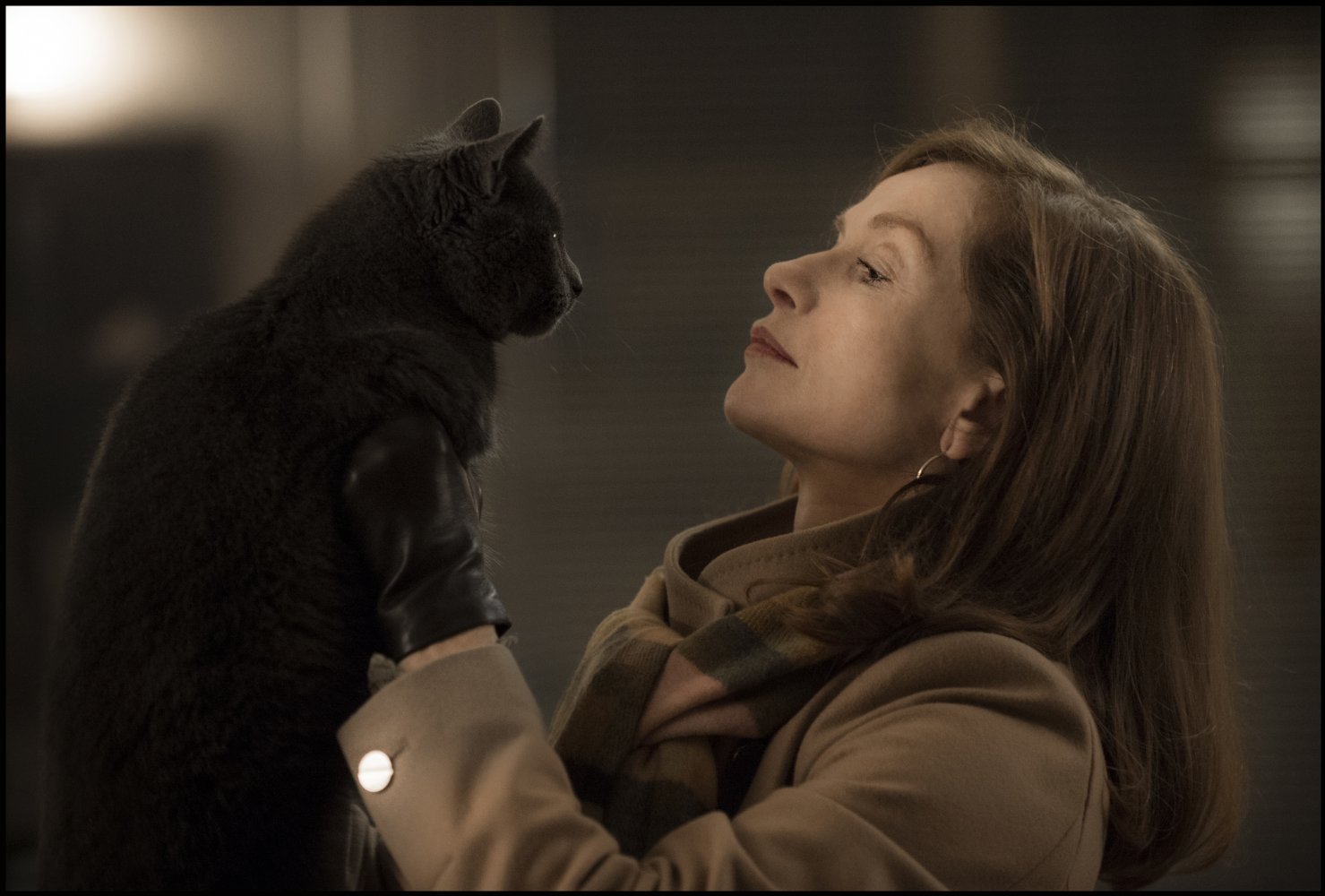 (Elle, Sony Pictures Classics)