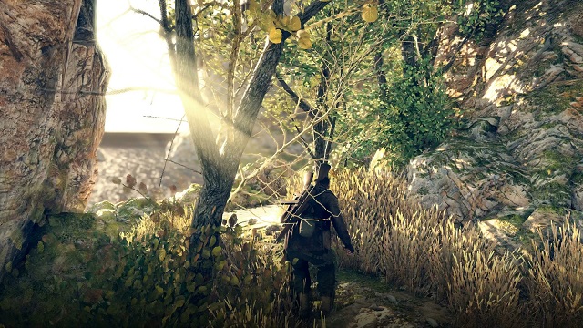 (Sniper Elite 4 - Rebellion)