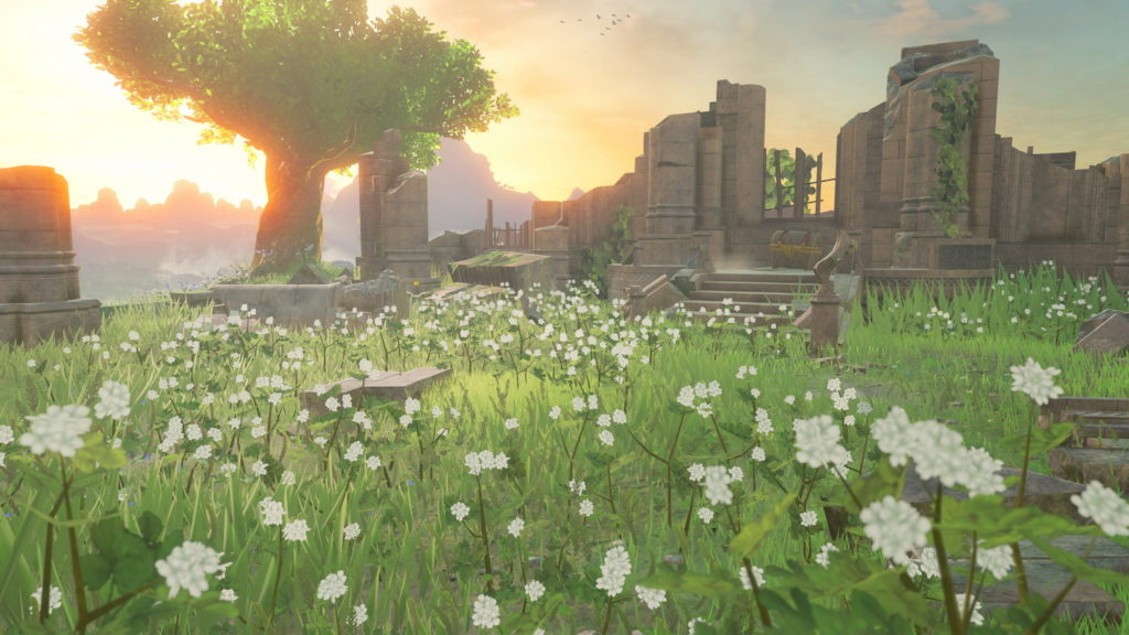 The Legend of Zelda: Breath of the Wild, Nintendo