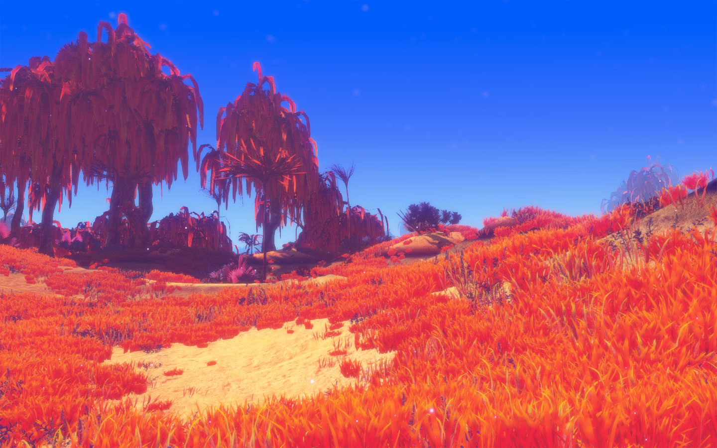 Planet Nomads, Craneballs