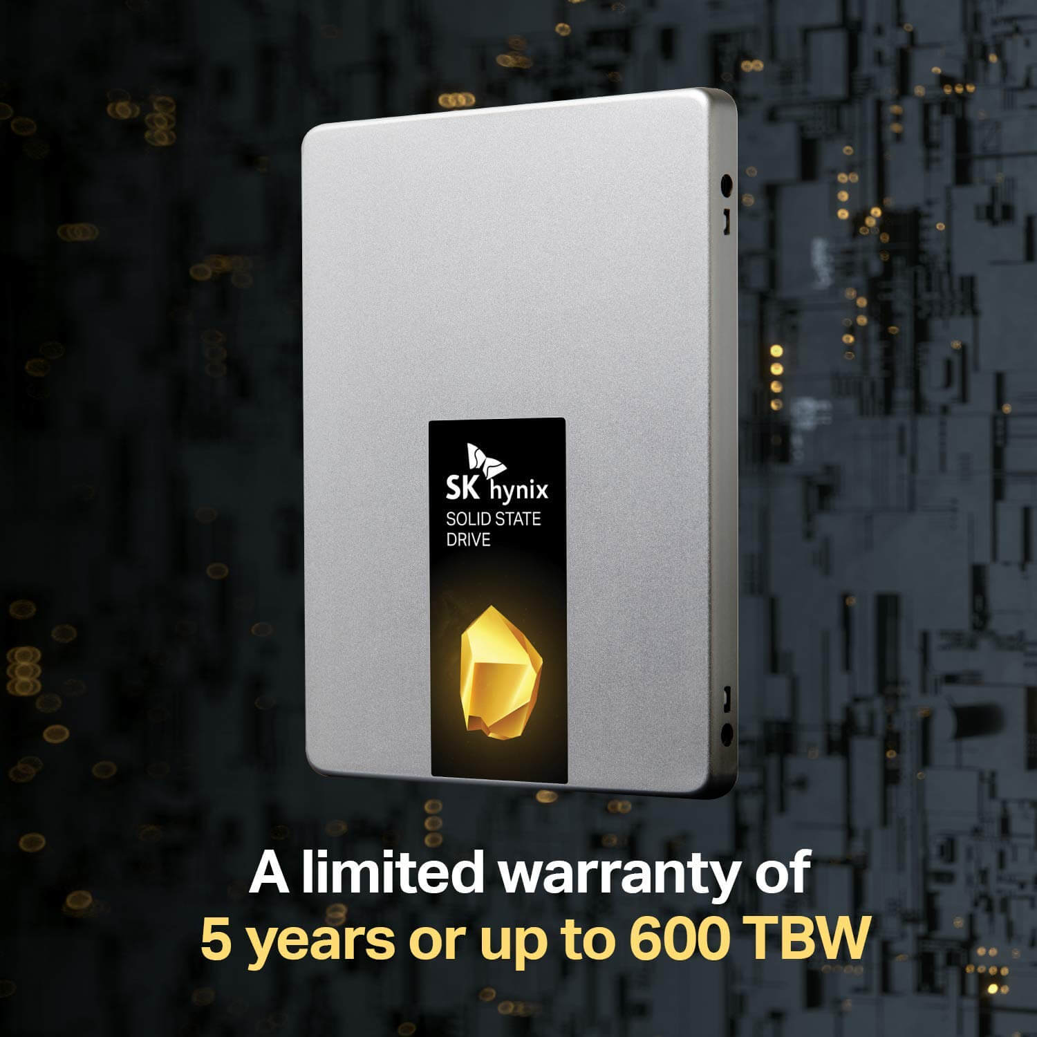 5 year warranty or up to 600 TBW on the Gold S31 SSD
