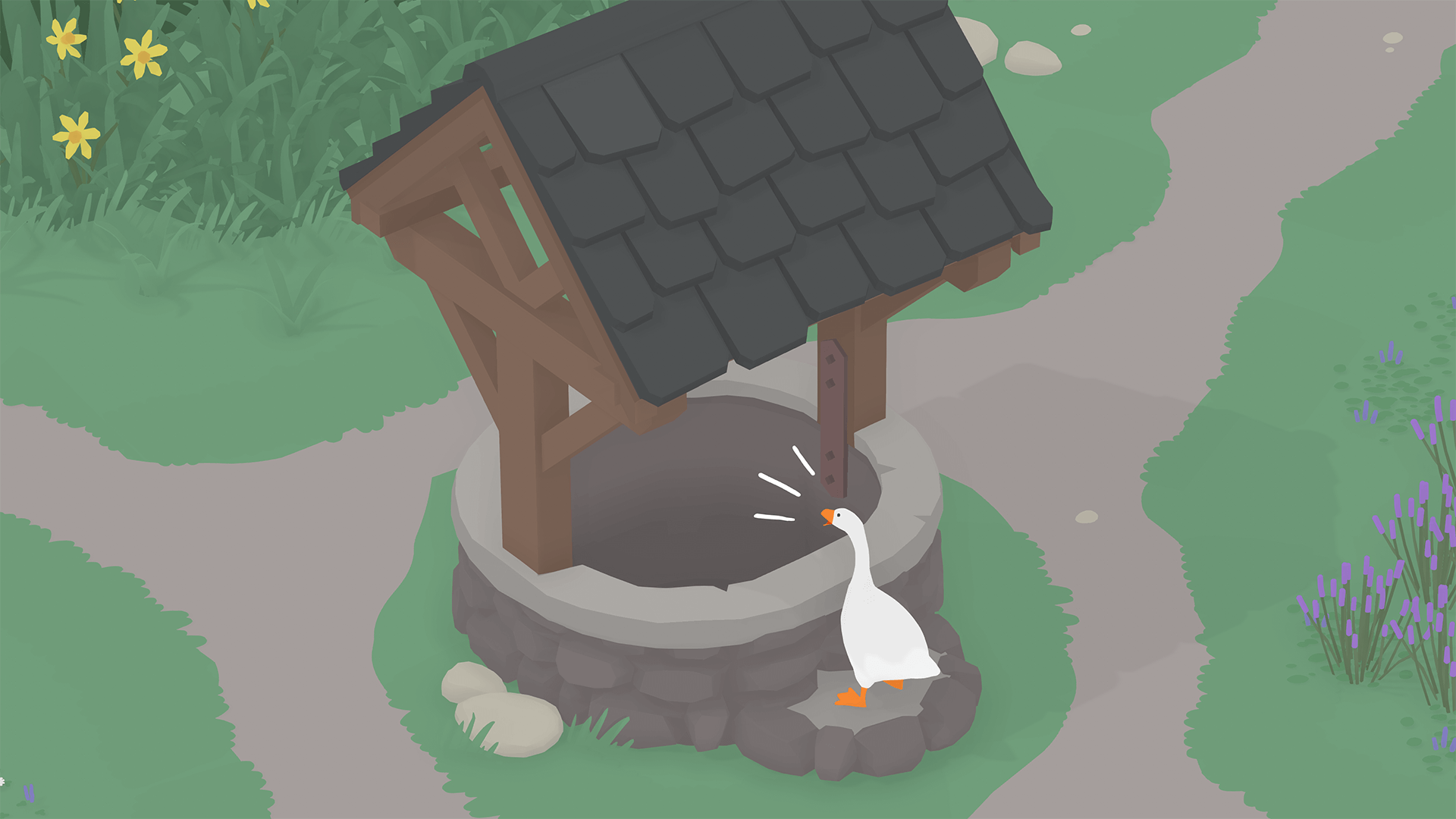 A goose's honk does indeed echo